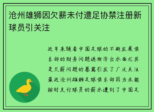 沧州雄狮因欠薪未付遭足协禁注册新球员引关注 沧州雄狮因欠薪未付遭足协禁注册新球员引关注